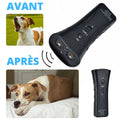 Télécommande anti-aboiement PuppySafe